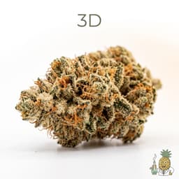 3D bud