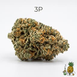 3P cannabis strain