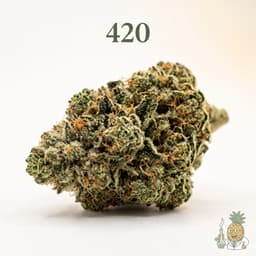 420 cannabis strain
