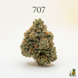 707 bud