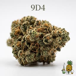 9D4 bud