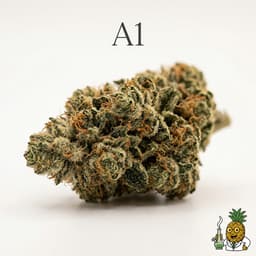 A1 bud