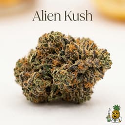 Alien Kush cannabis strain