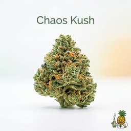 Chaos Kush bud