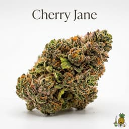 Cherry Jane bud