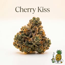 Cherry Kiss bud
