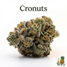 Cronuts bud