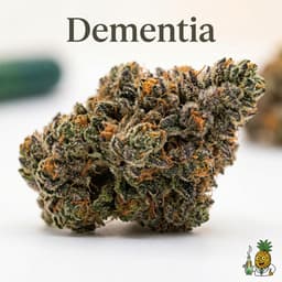 Dementia bud