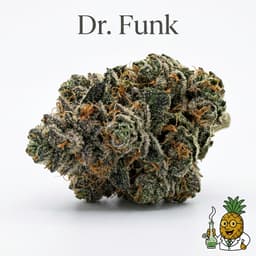 Dr. Funk bud