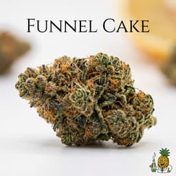 Funnel Cake bud