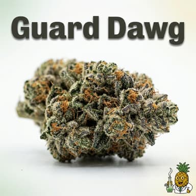 Guard Dawg