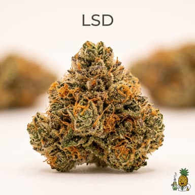 LSD