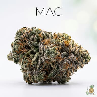 MAC