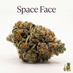 Space Face bud