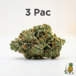 3 Pac bud