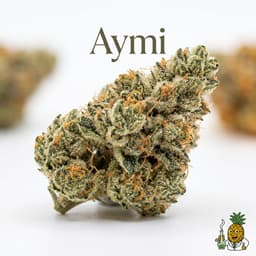 Aymi bud