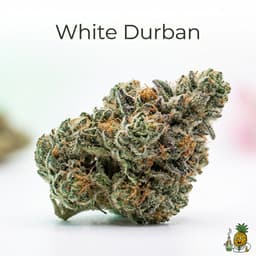 White Durban cannabis strain