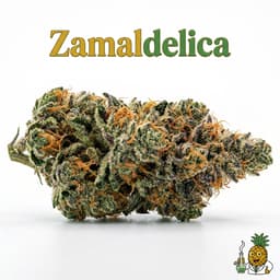 Zamaldelica cannabis strain