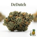 DeDutch cannabis strain
