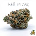 Fall Frost cannabis strain
