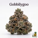 Gobbilygoo cannabis strain