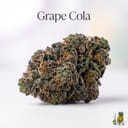 Grape Cola cannabis strain