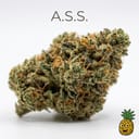 A.S.S. cannabis strain