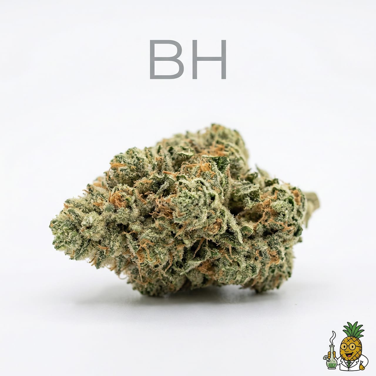 BHŪ - Relaxing High | Myrcene Strain | This Is Why I'm High