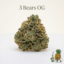 3 Bears OG cannabis strain
