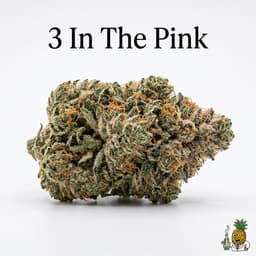 3 In The Pink cannabis strain