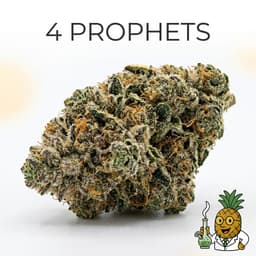 4 Prophets cannabis strain