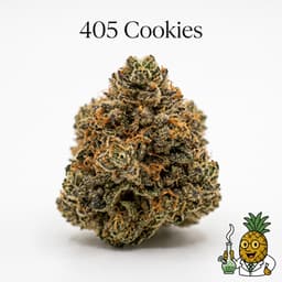 405 Cookies cannabis strain