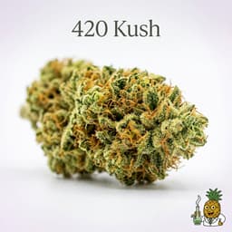 420 Kush cannabis strain