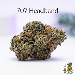 707 Headband cannabis strain