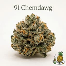 91 Chemdawg cannabis strain