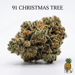 91 Christmas Tree cannabis strain