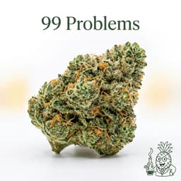 99 Problems cannabis strain