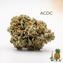 ACDC cannabis strain