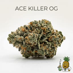 Ace Killer OG cannabis strain