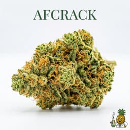 Afcrack cannabis strain