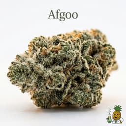 Afgoo cannabis strain