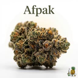 Afpak cannabis strain