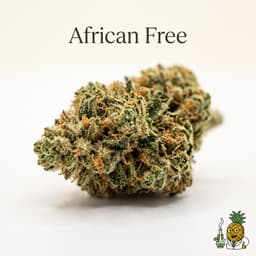 African Free cannabis strain