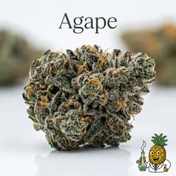 Agape cannabis strain