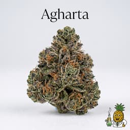 Agharta cannabis strain