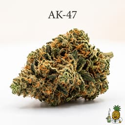 AK-47 cannabis strain