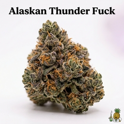 Alaskan Thunder Fuck cannabis strain