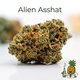 Alien Asshat cannabis strain