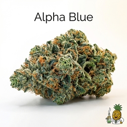 Alpha Blue cannabis strain