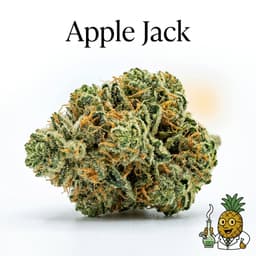 Apple Jack cannabis strain